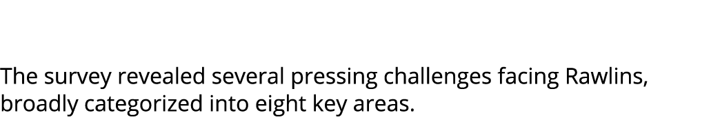  The survey revealed several pressing challenges facing Rawlins, broadly categorized into eight key areas. 