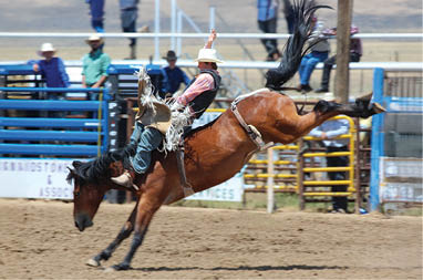 A man riding a horse in a rodeo, with a crowd watching. AI generated content