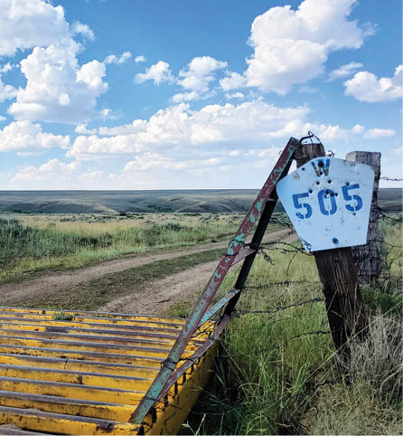 A fence with a sign that reads 505 is in a field. AI generated content