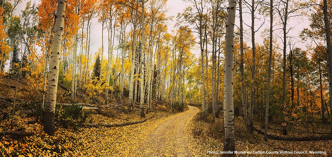 Plan your fall and winter getaway to Carbon County