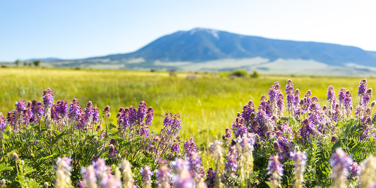 Elk Mountain