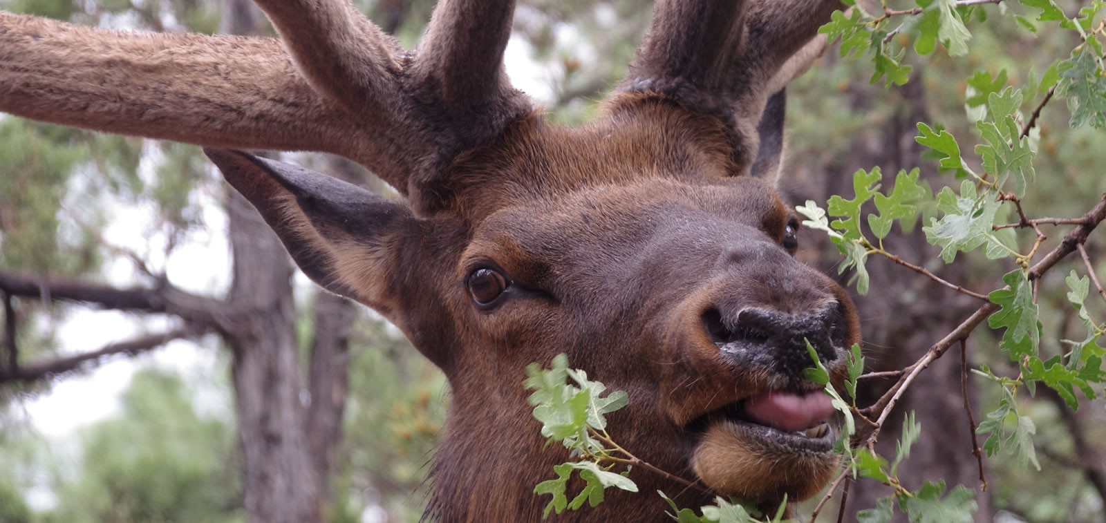 Discover Carbon County, Wyoming Seminoe State Park