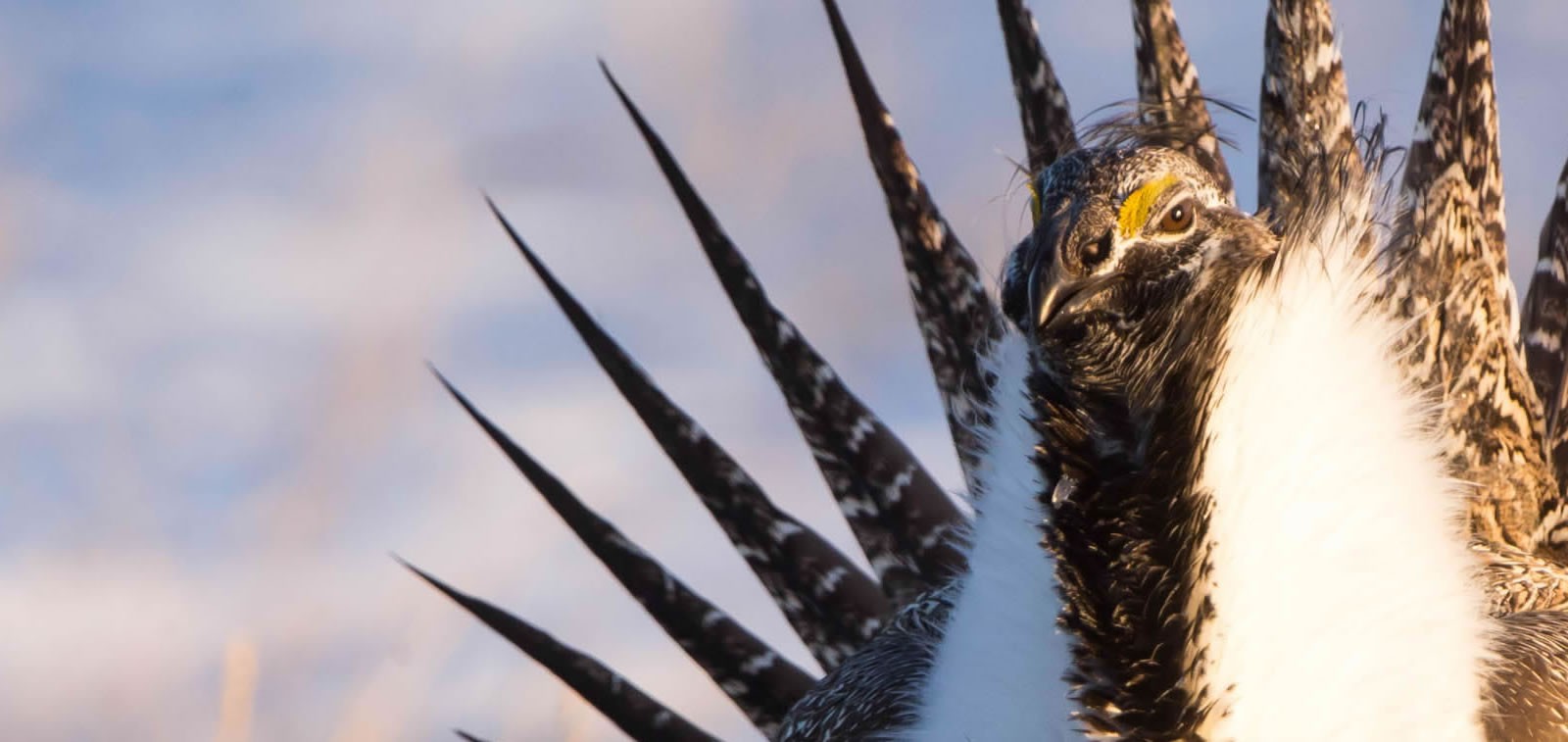 Discover Carbon County, Wyoming Seminoe State Park